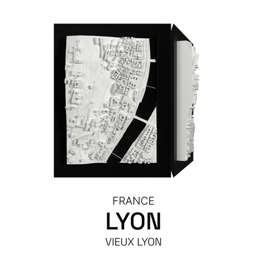 Lyon